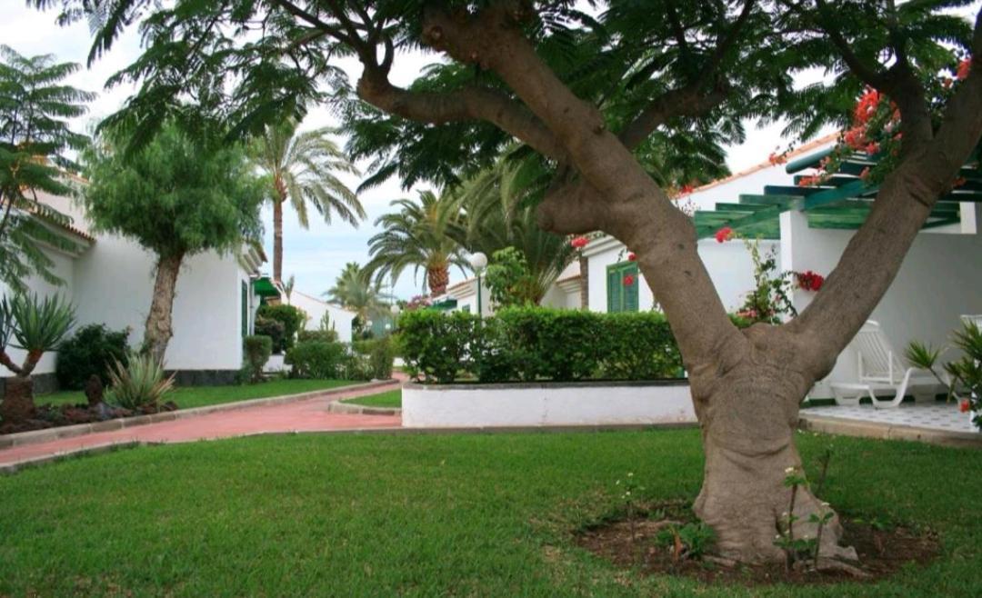 Maspalomas Dunas Golf Екстериор снимка